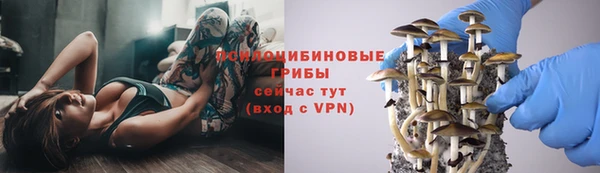 гидра Лиски