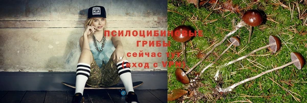 гидра Лиски