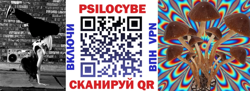 Псилоцибиновые грибы прущие грибы  Сосновый Бор 