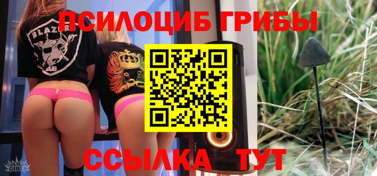 Галлюциногенные грибы прущие грибы Сосновый Бор