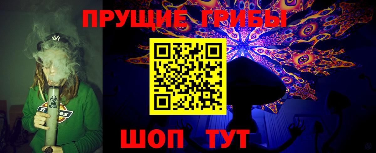 Сосновый Бор  Галлюциногенные грибы GOLDEN TEACHER  купить наркотик  Вход с VPN  Псилоцибиновые грибы мухоморы 